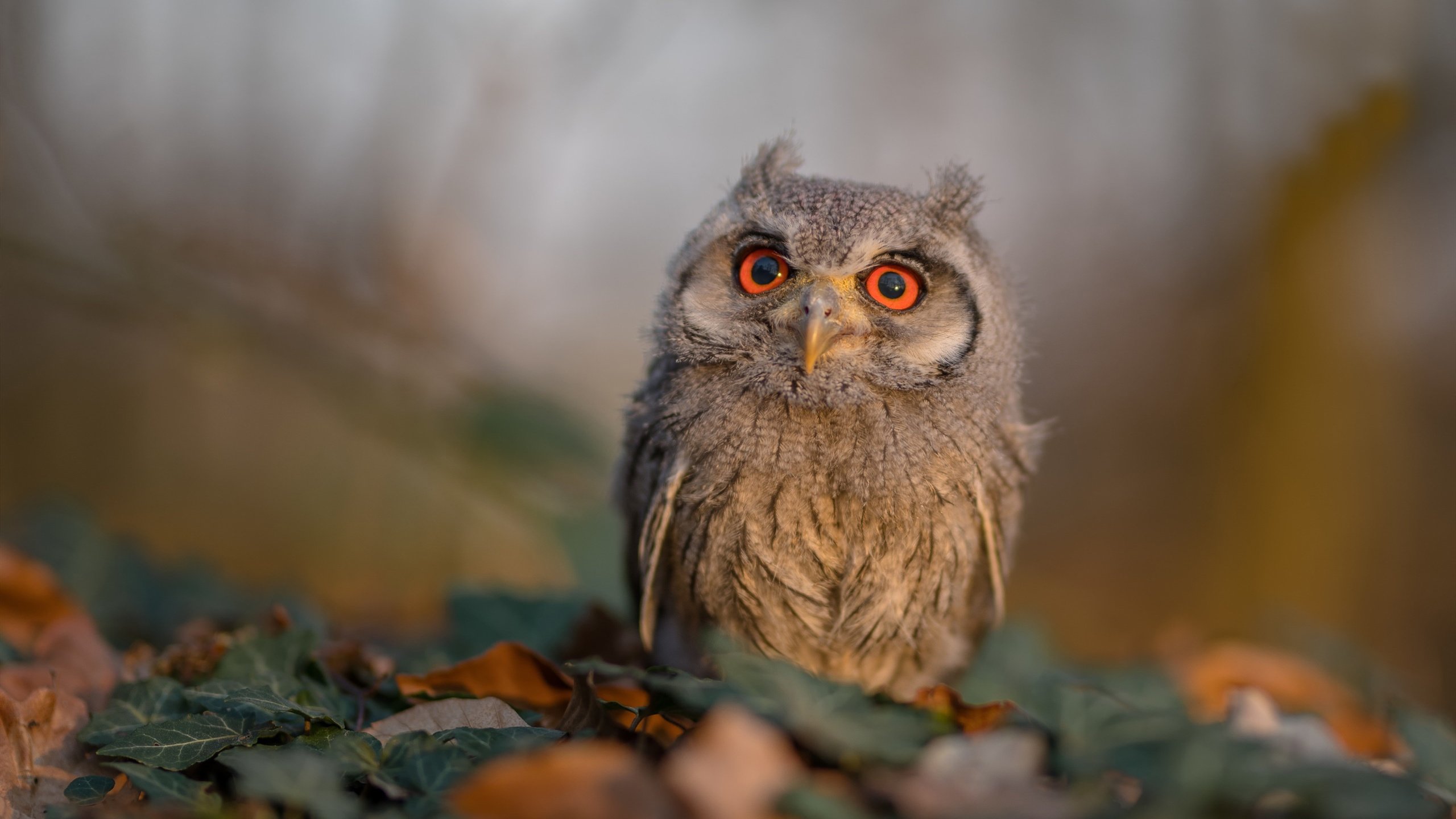 体育场馆安全设施完善,体育场馆的安全问题