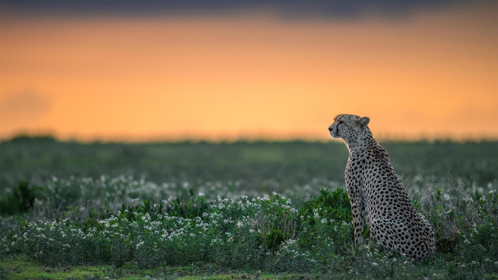 体育场馆安全设施完善,体育场馆的安全问题
